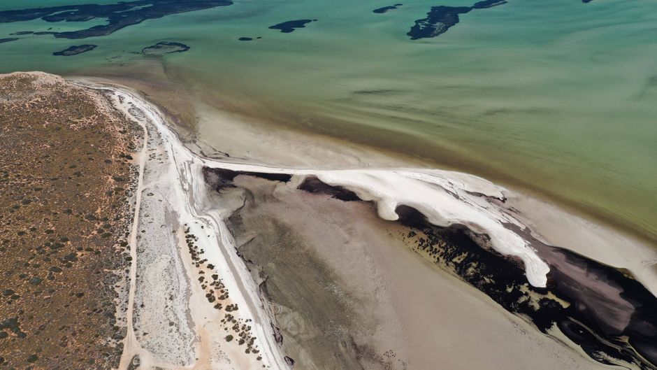 Shark Bay - Australia - West Coast - Dronephotography - travelbees.de