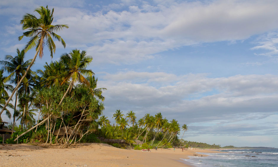 Beautiful beach in tangalle - sri lanka - travelbees blog