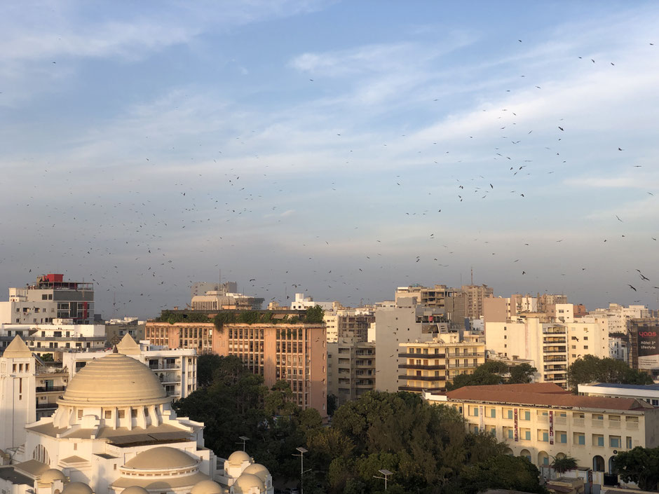 Dakar - Senegal - www.travelbees.de