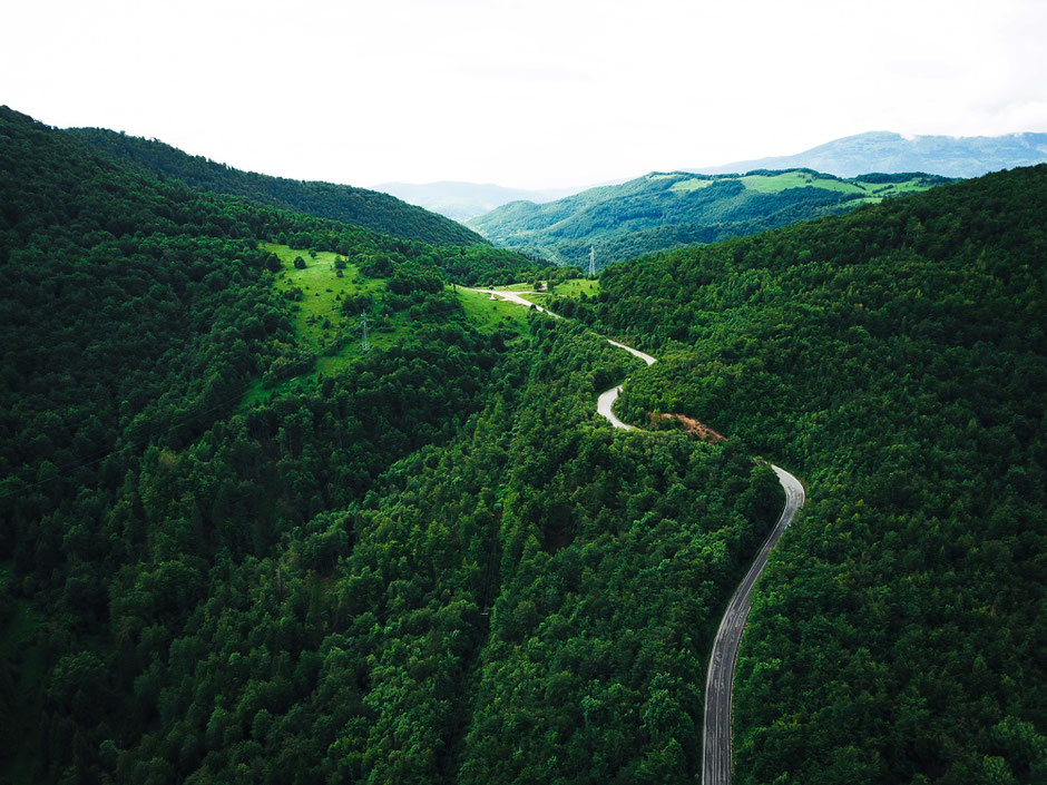 Sutjeska National Park - Bosnia and Herzegovina - Travelbees