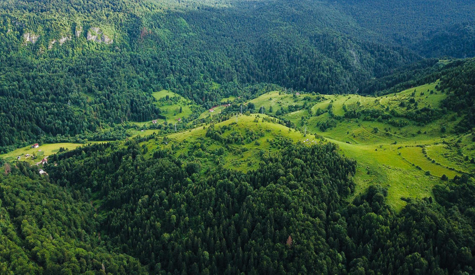 Sutjeska National Park - Bosnia and Herzegovina - Travelbees