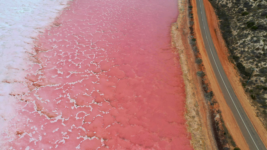 Pink Lake - Gregory - Australia - Dronephotography - travelbees.de
