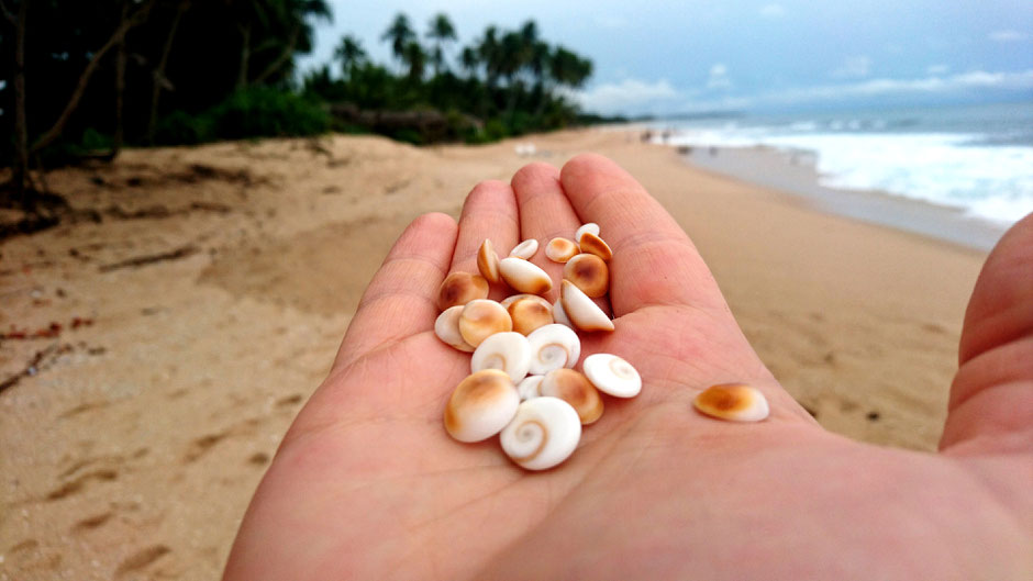 shiva eye in tangalle - sri lanka - travelbees blog