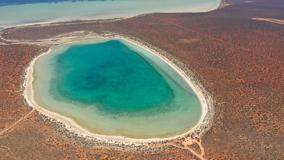 Small Lagoon near Denham - Shark Bay - Australia - Drone Photography - travelbees.de