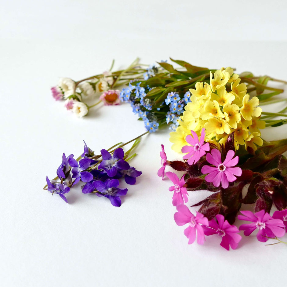 Tarte Blüten in der Mikrowelle trocknen