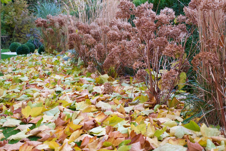 dieartigeBLOG - Herbstlaub ist hygge