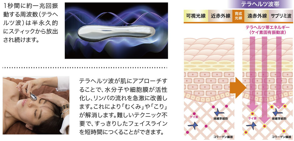 ドレナージスティックテラ