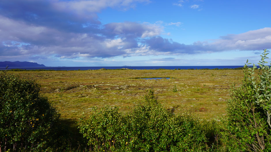 Mit Sonne zeigen sich gleich kräftige Farben, macht die Landschaft ein freundliches Bild.