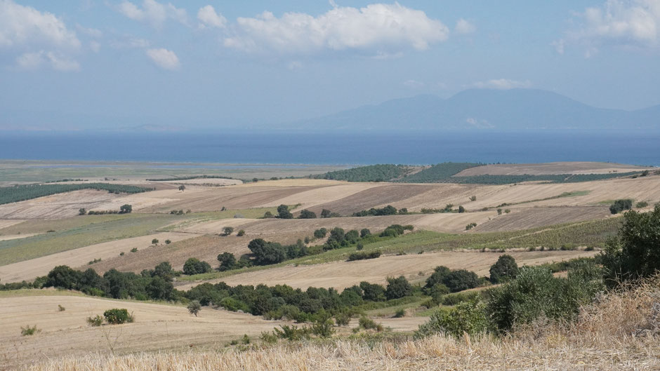 Getreide- und Sonnenblumenfelder mit Blick auf das Marmarameer