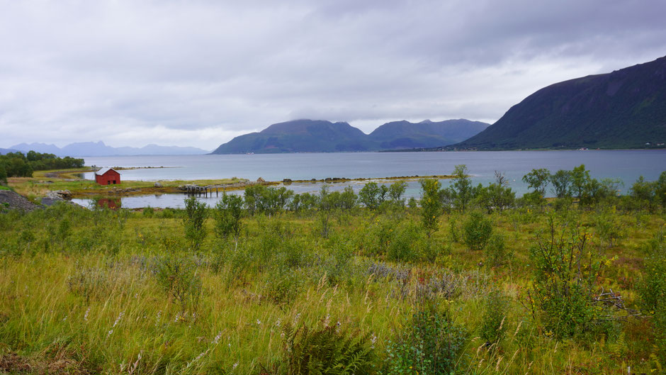 Rote Farbe macht sich auch bei Schlechtwetter gut am Fjord