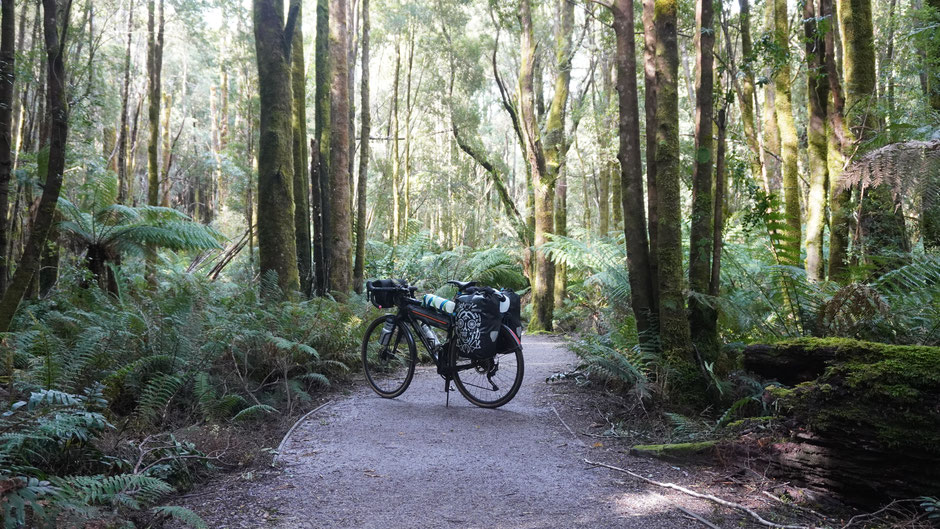 Ein Fahrrad steht im Walde, ganz ruhig und still ...