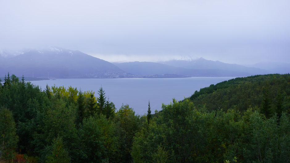 Narvik zeigt sich ziemlich düster