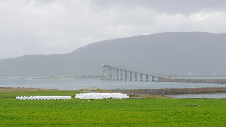 Norwegische Sprungschanze?