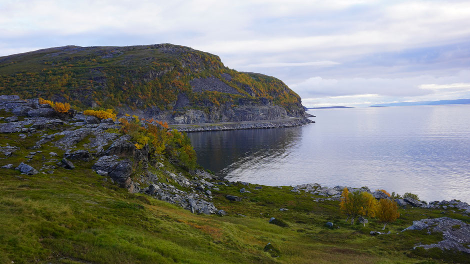 Herbstfarben am Fjord