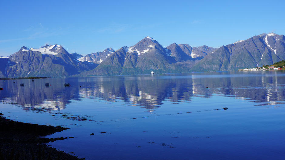 Blick zurück. Auch andere Fjorde wollen bald ins Bild ...