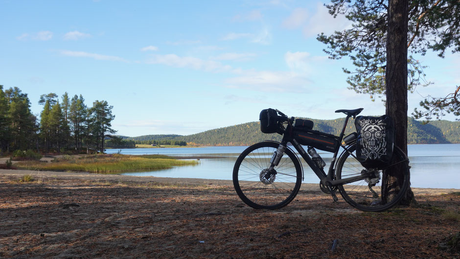 Waldidylle mit See und Reiserad