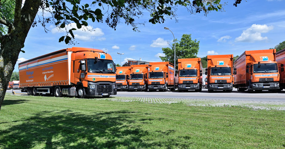 Im Vordergrund ist eine idyllische Mischung aus einem Baum und frisch gemähter Wiese. Im Hintergrund sind Lkw schräg und paralell abgestellt. In der Bildmitte fährt ein Planentieflader von links in die Bildmitte. Der Himmel ist blau mit weißen Wolken.