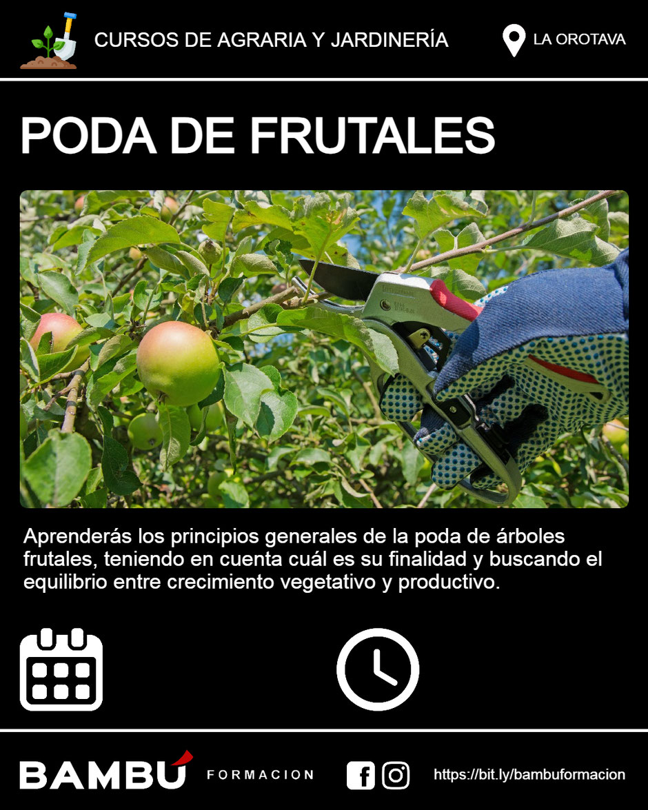 Cursos de jardinería en Tenerife: Poda de frutales.
