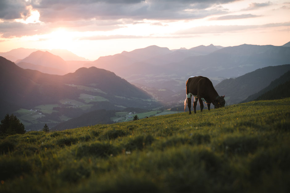 Wanderung zur Stuhlalm von Annaberg - Lammertal, Salzburgerland - Dachstein #mountainhideaways #wandertipp