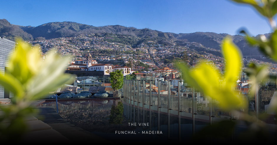 MADEIRA - die sechs coolsten Wellness- und Boutiquehotels der Insel : THE VINE Designhotel