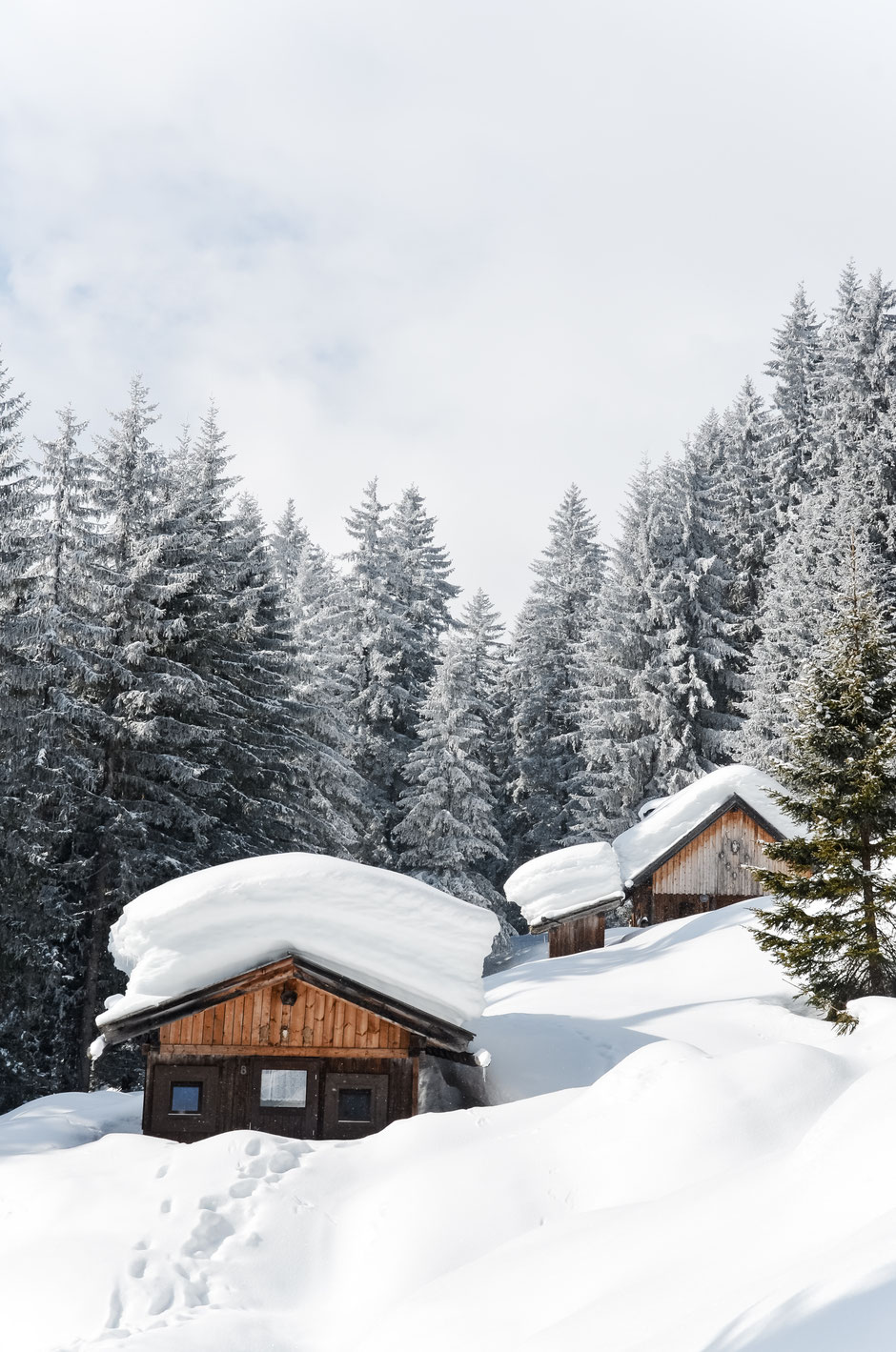 Wintermärchen in Tirol, Rodelwanderung zum Alpengasthof Loas
