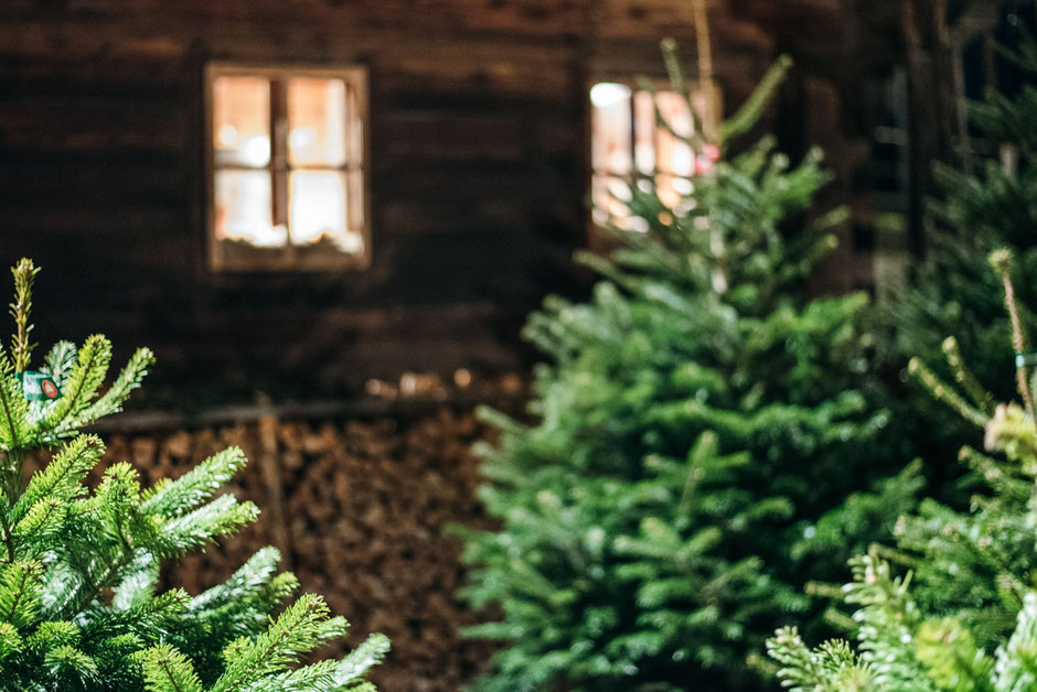 Adventsmarkt, Weihnachtsmarkt, Christkindlmarkt - Tiroler Bergadvent Wildschönau, Bergbaumuseum z'Bach