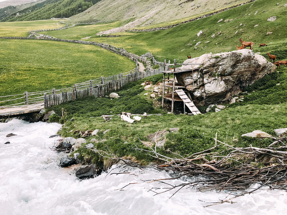 zurück in Melag im Langtauferer Tal