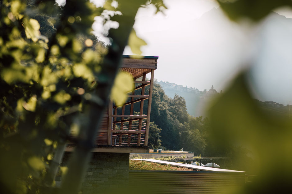 Pergola Residence, Aparthotel, Apartment, Algund bei Meran - Südtirol #mountainhideaways