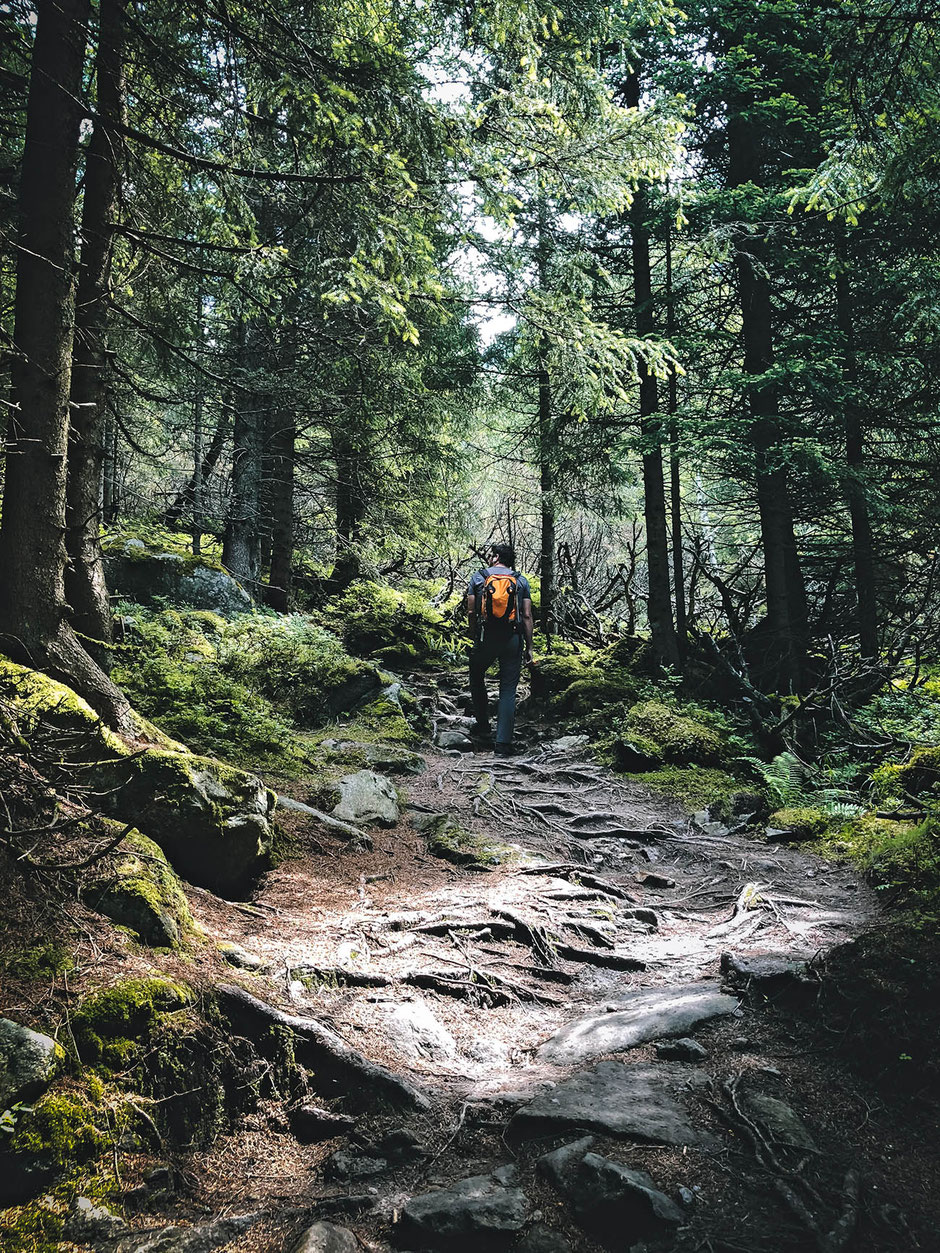 Zillergrund - Wanderung: von Bärenbad zur Einkehr zum Adlerblick