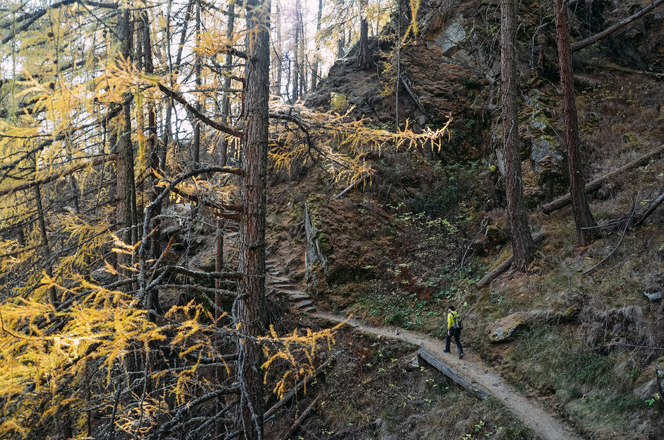 Wanderweg am Meraner Höhenweg