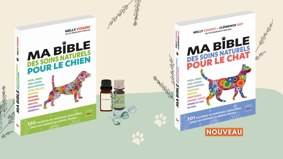 Remedes Naturels Pour Animaux Site De Vismedicatrixnaturae La Nature Est Guerisseuse Remedes Naturels Pour Chiens Et Chats