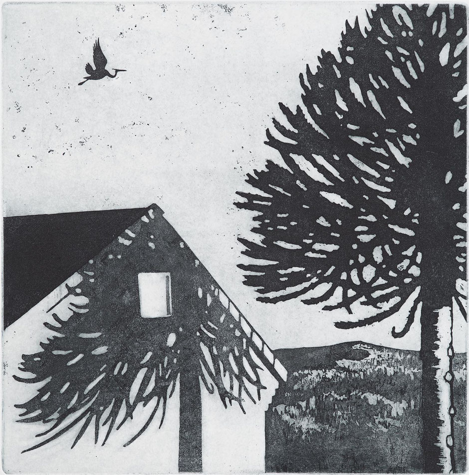 Remembrance art featuring monkey puzzle tree casting a shadow on a white house with stalk flying by