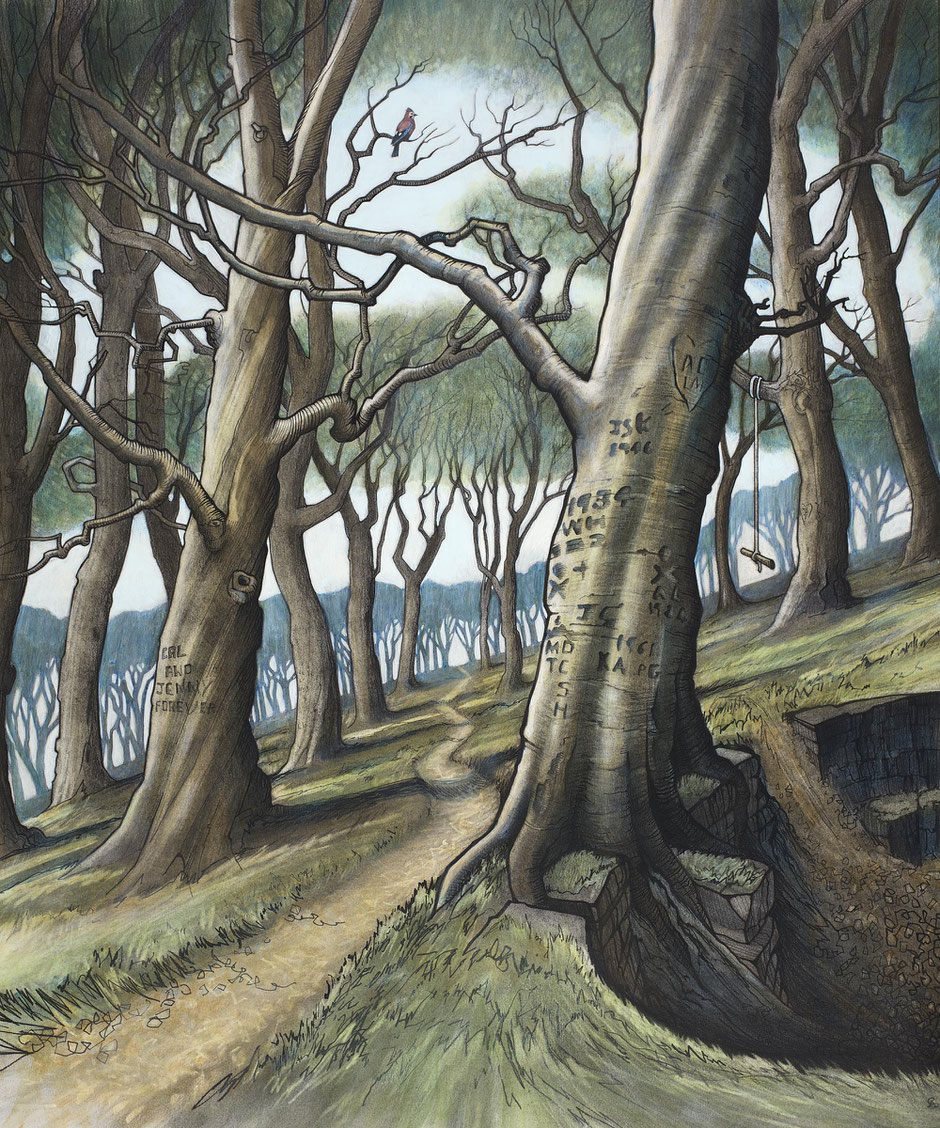 derbyshire art print playing woodland