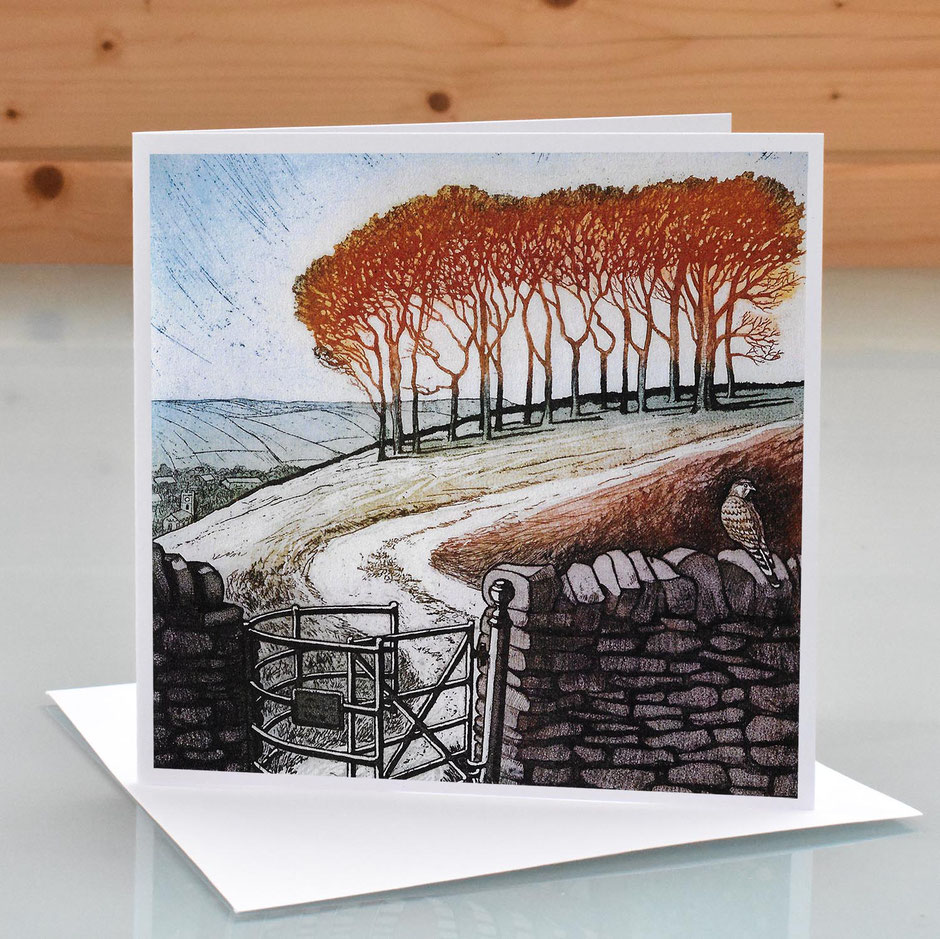 Kissing Gate, Twenty Trees Hayfield art greeting card