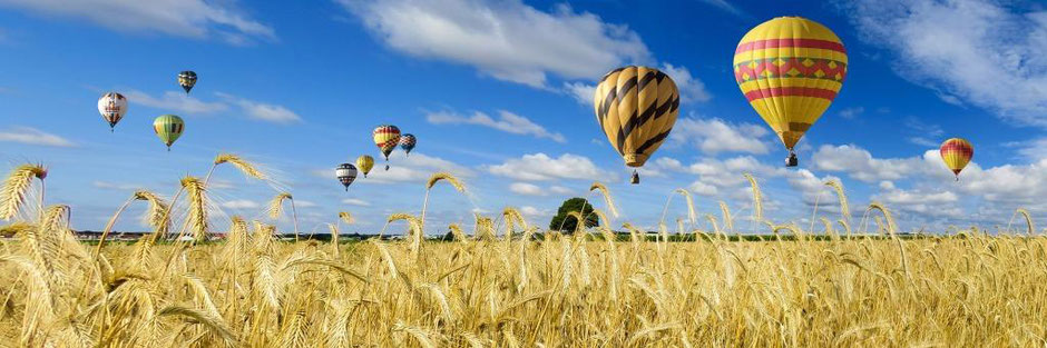 Heißluftballons steigen über Weizenfeld auf wie erfolgreiche Mitarbeiter