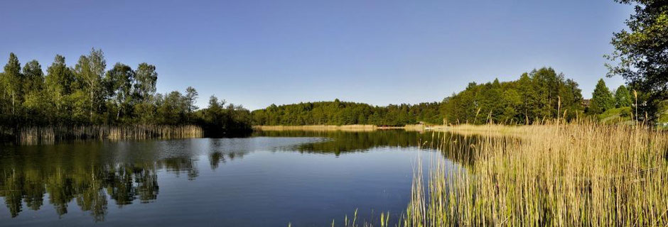 Landschaft mit See, Wiesen und Wald im Gleichklang