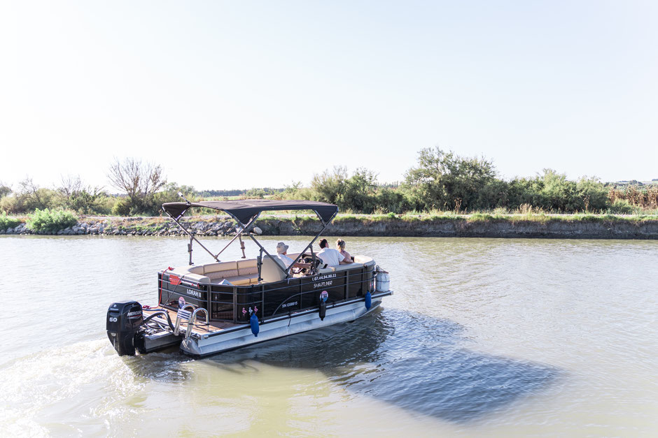 Balade en bateau en Camargue
