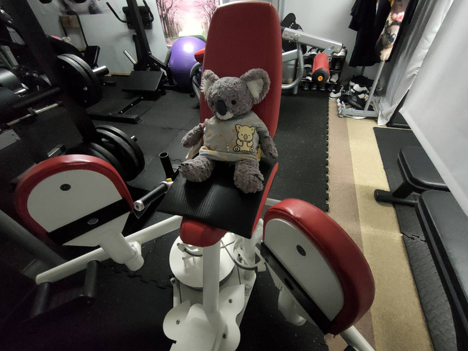 KoalaGymで脚トレ中のマーチン