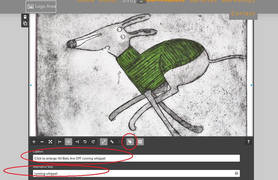 seo search engine optimisation photos images
