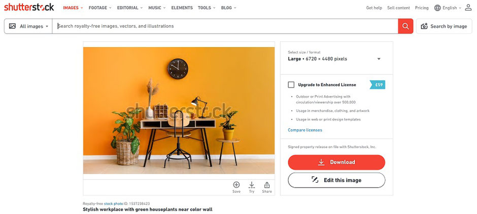 download stock photos for lifestyle photography mockup images