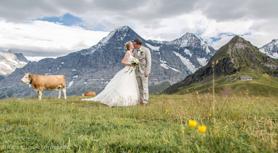 Brautpaar Fotoshooting auf dem Männlichen / Berg mit Kühen im Berner Oberland