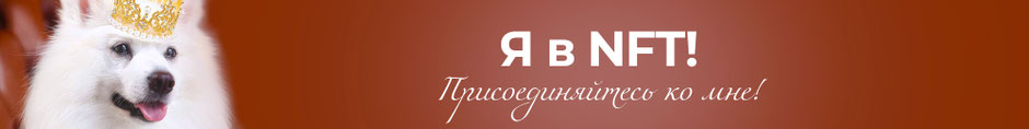nft собаки, nft японский шпиц Симба, nft белые собаки, nft коллекции, nft, nfts, nft японський шпіц Сімба, nft Україна, nft білі собаки, nft колекції, nft 2022 2023 2024, nft фантазии Симбы, nft фантазії Сімби, nft фотографії, nft фото, nft иллюстрации