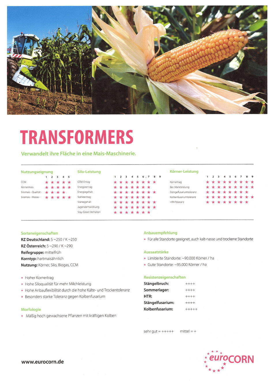 Neuste Züchtung "Transformers" - eine Sorte, die in den aktuellen Versuchsergebnissen Maßstäbe setzt. Entwickelt für höchste Erträge, außergewöhnliche Standfestigkeit und hervorragende Kälte- und Trockentoleranz.