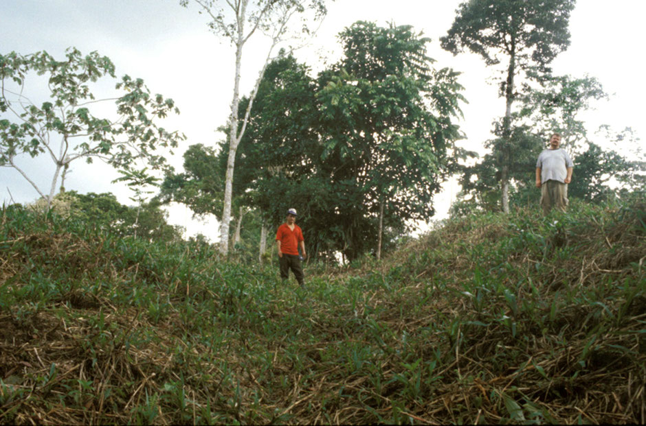 The Upano Valley in Ecuador's Amazon, is crisscrossed by numerous Pre-Columbian trails that connect earth structure archeological sites (photo by Stéphen Rostain).