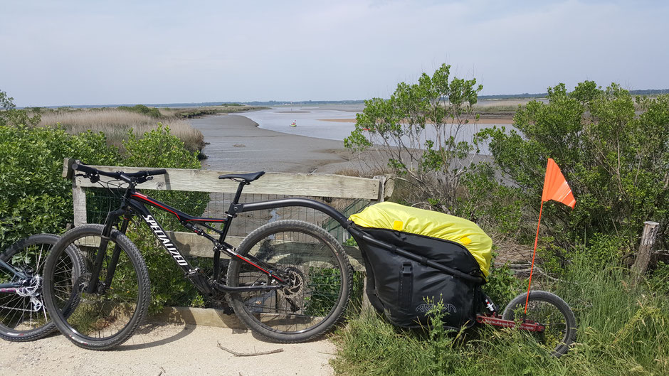 Traversée vtt de la réserve naturelle du Teich - Bassin Arcachon - Gironde