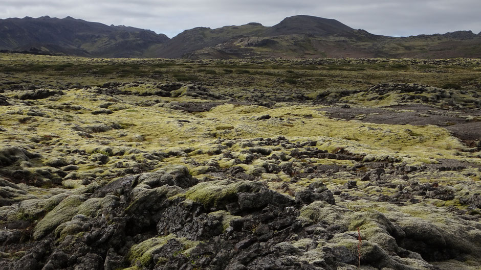 La réserve naturelle de Reykjanesfólkvangur