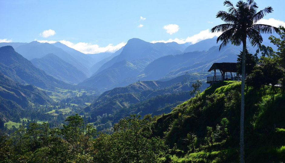 2-Tagestour Highlights im Quindio - Panoramablick ins Valle del Cocora