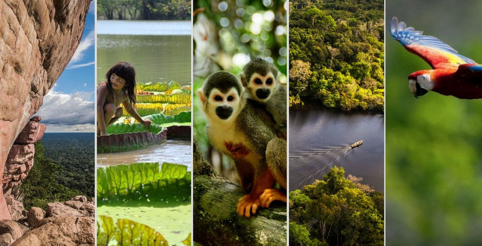 Kolumbien Reiseregion Amazonas Leticia