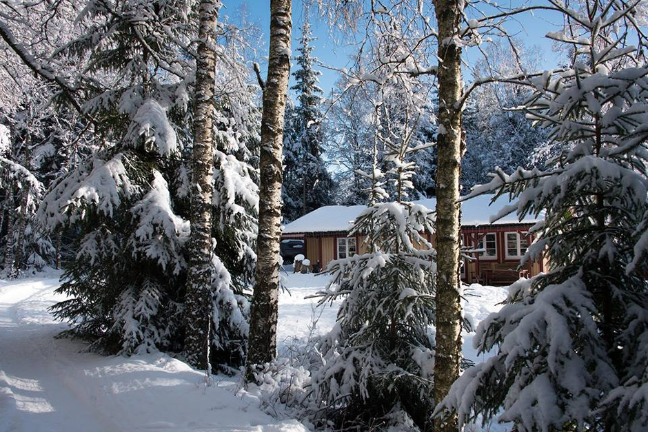 Winterlandschaft mit Älmhult Schwedenhaus von Berg