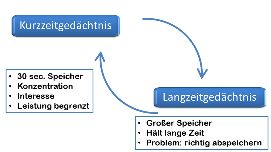 Kurz- & Langzeitgedächtnis - Psychologische Beratung, Coaching und Training